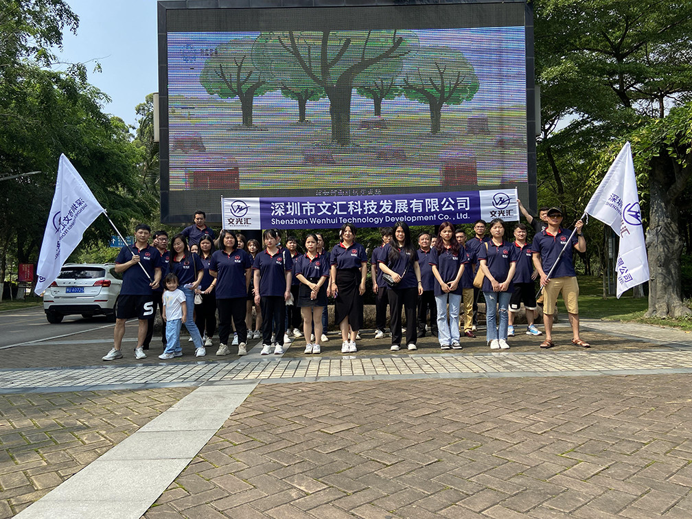 Shenzhen Wenhui Technology Development Co., Ltd.