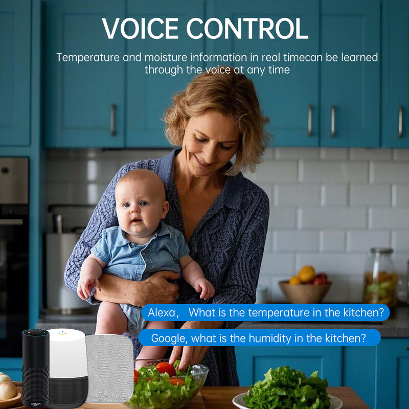 SIXWGH Tuya WiFi Smart Sensor de température et d'humidité Alexa / Google Contrôle vocal 30 jours de stockage de données électrique pour la domotique