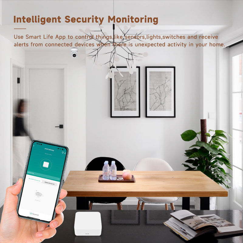 SXIWGH Passerelle Multi-Mode en Gros ZigBee 3.0 pour Hub Bluetooth WiFi Centre de Contrôle Maison Intelligente Compatible Tuya Google Home