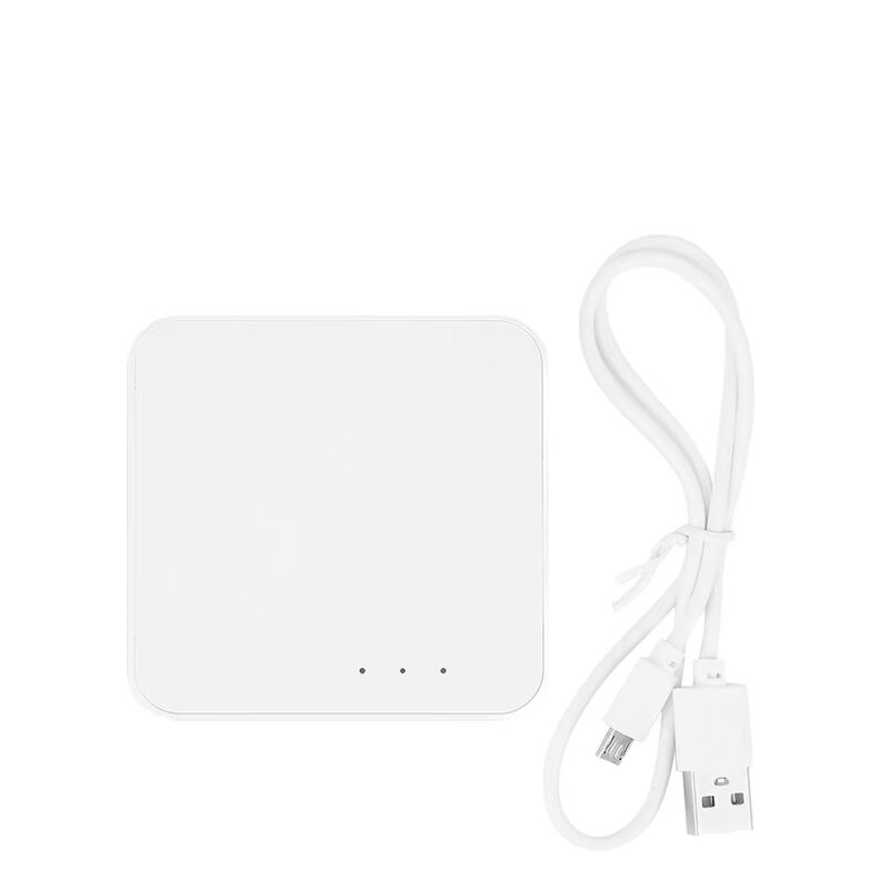SXIWGH Passerelle Multi-Mode en Gros ZigBee 3.0 pour Hub Bluetooth WiFi Centre de Contrôle Maison Intelligente Compatible Tuya Google Home